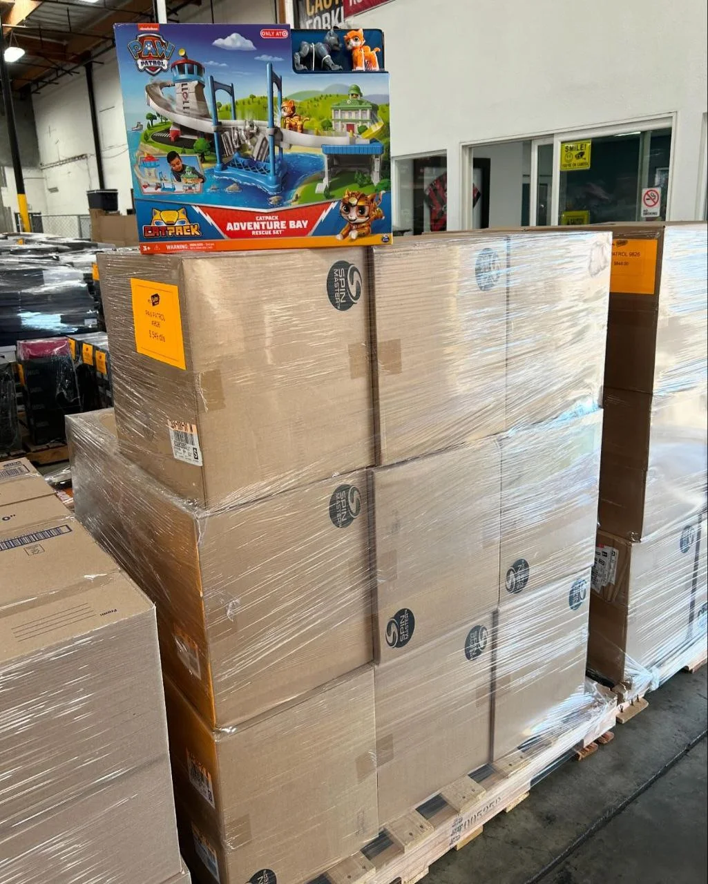 Paw Patrol Chase Toys